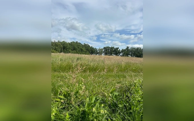 Programme immobilier neuf Terrain à partir de 600m² à arveyres