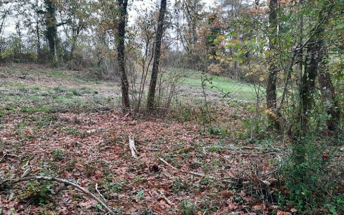 Programme immobilier neuf Terrain à partir de 2000m² à maurens