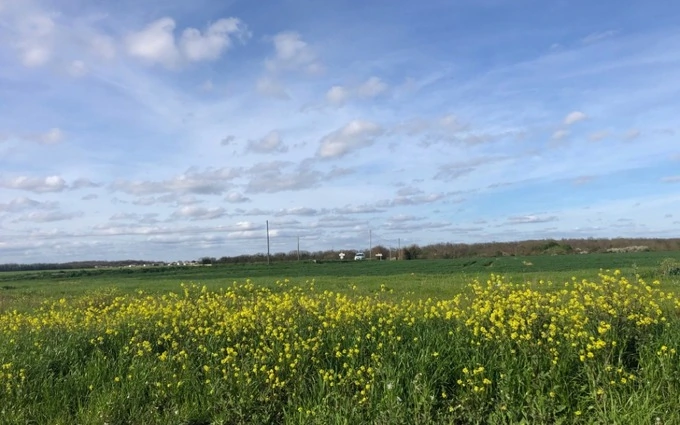 Programme immobilier neuf Terrain à partir de 316m² à bourgneuf à Bourgneuf