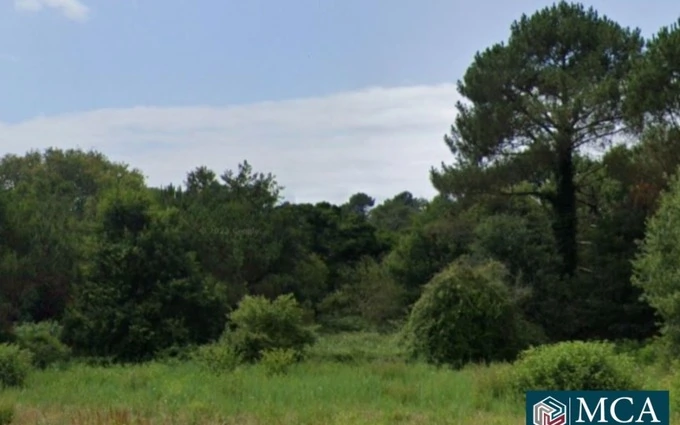 Programme immobilier neuf Terrain à partir de 670m² à messanges à Messanges (40660)
