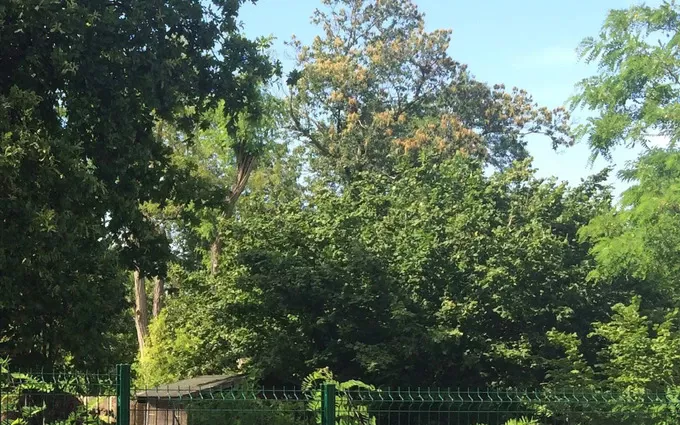 Programme immobilier neuf Terrain à partir de 209m² à mérignac à Mérignac (33700)