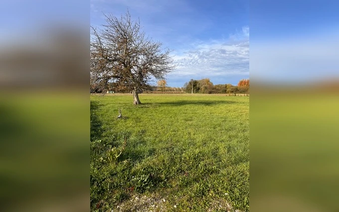 Programme immobilier neuf Terrain à partir de 1248m² à sainte-florence à Sainte-Florence