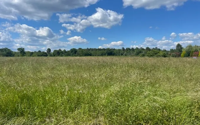 Programme immobilier neuf Terrain à partir de 900m² à pompéjac à Pompéjac (33730)