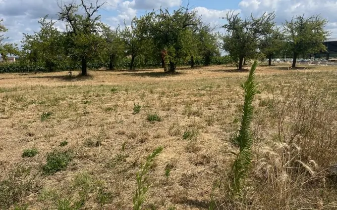 Programme immobilier neuf Terrain à partir de 620m² à lévignac-de-guyenne à Lévignac-de-Guyenne