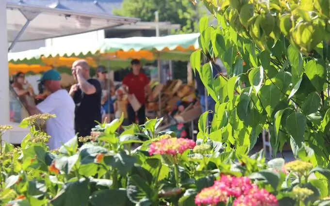 Programme immobilier neuf Villas gabrielle à Montgermont