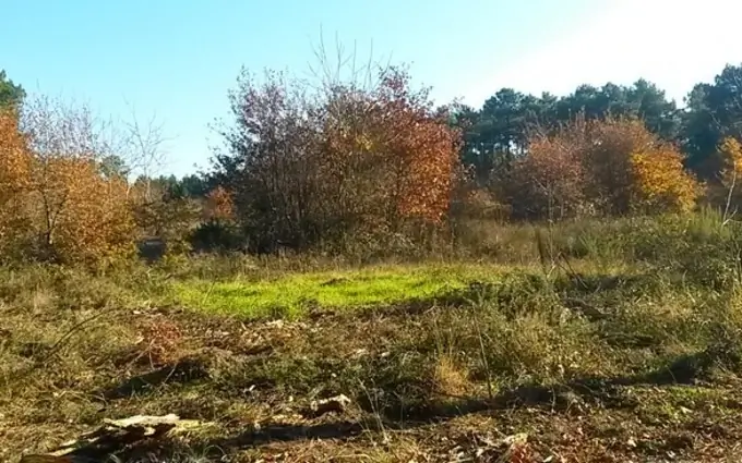 Programme immobilier neuf Terrain à partir de 485m² à brach