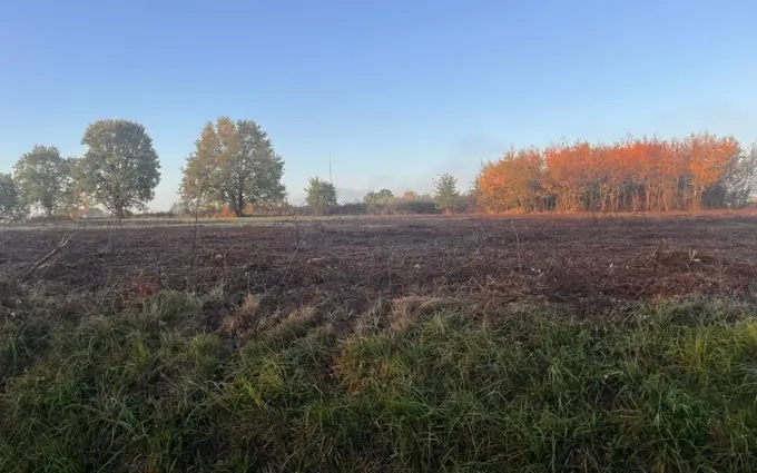 Programme immobilier neuf Terrain à partir de 700m² à cursan à Cursan (33670)