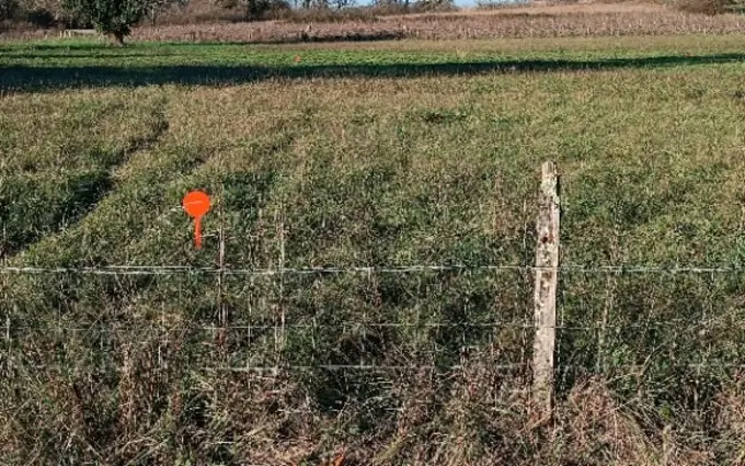 Programme immobilier neuf Terrain à partir de 1500m² à peujard à Peujard (33240)