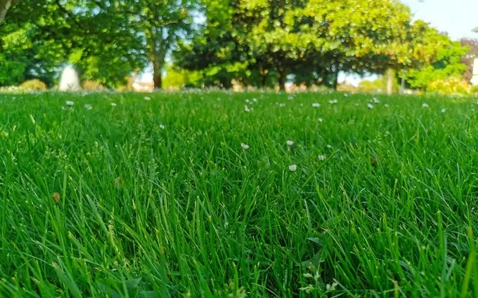 Programme immobilier neuf Terrain à partir de 400m² à hourtin