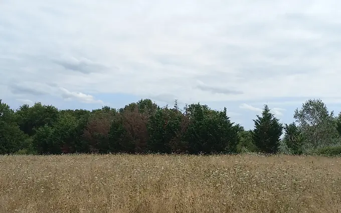 Programme immobilier neuf Terrain à partir de 2210m² à eygurande-et-gardedeuil