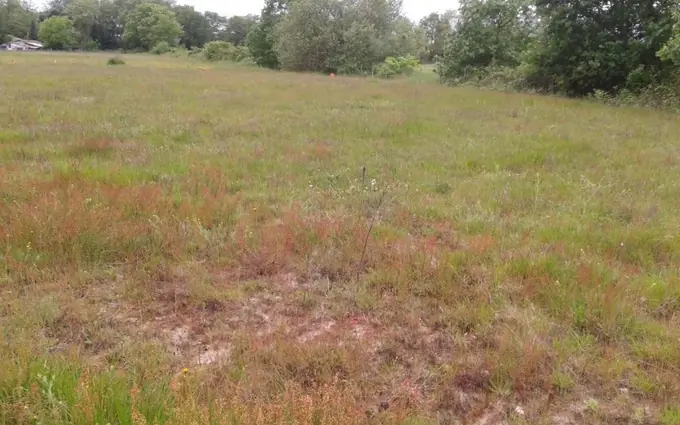 Programme immobilier neuf Terrain à partir de 655m² à cubzac-les-ponts à Cubzac-les-Ponts (33240)