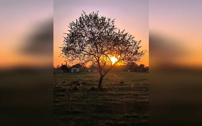 Programme immobilier neuf Terrain à partir de 550m² à sablons à Sablons