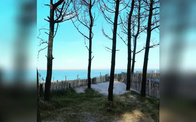 Programme immobilier neuf Terrain à partir de 1300m² à pyla-sur-mer à La Teste-de-Buch