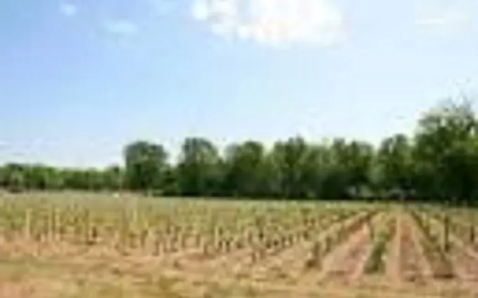 Programme immobilier neuf Terrain à partir de 515m² à cérons à Cérons