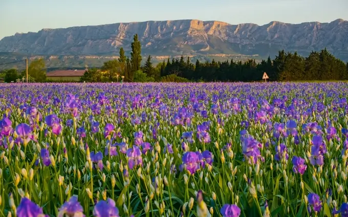 Programme immobilier neuf Terrasses Victoria à Trets