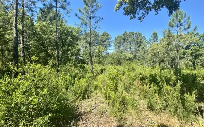 Programme immobilier neuf Terrain à partir de 310m² à le barp à Le Barp (33114)