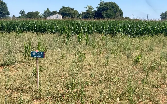 Programme immobilier neuf Terrain à partir de 630m² à balanzac à Balanzac