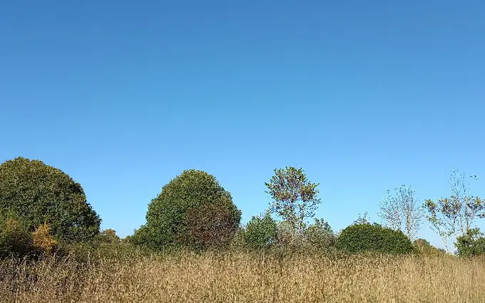 Programme immobilier neuf Terrain à partir de 3500m² à saint-martial-d'artenset à Saint-Martial-d'Artenset (24700)