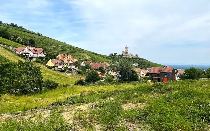Programme immobilier neuf Le Hamo du Wineck à Katzenthal (68230)