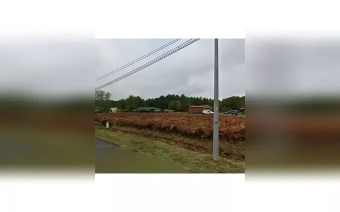 Programme immobilier neuf Terrain à partir de 307m² à saucats à Saucats