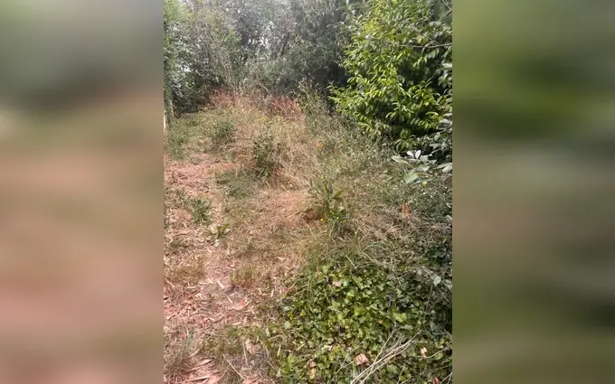 Programme immobilier neuf Terrain à partir de 400m² à loupiac à Loupiac (33410)