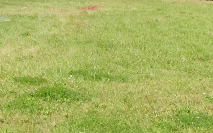 Programme immobilier neuf Terrain à partir de 600m² à barsac à Barsac