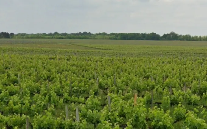 Programme immobilier neuf Terrain à partir de 500m² à portets