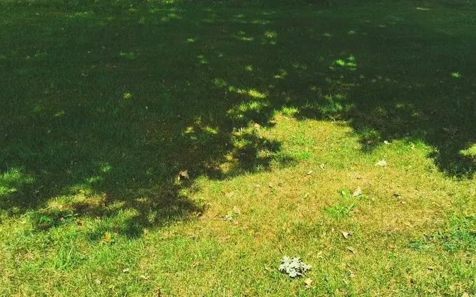 Programme immobilier neuf Terrain à partir de 307m² à mios à Mios (33380)