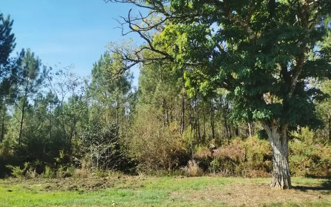 Programme immobilier neuf Terrain à partir de 410m² à castres-gironde à Castres-Gironde