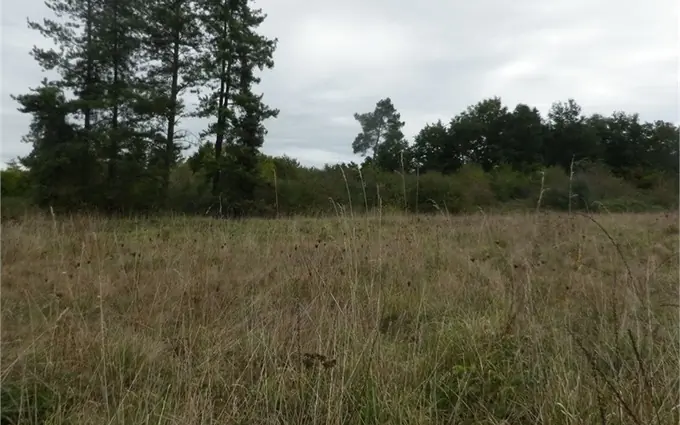 Programme immobilier neuf Terrain à partir de 410m² à libourne