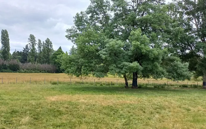 Programme immobilier neuf Terrain à partir de 1200m² à ménesplet à Ménesplet