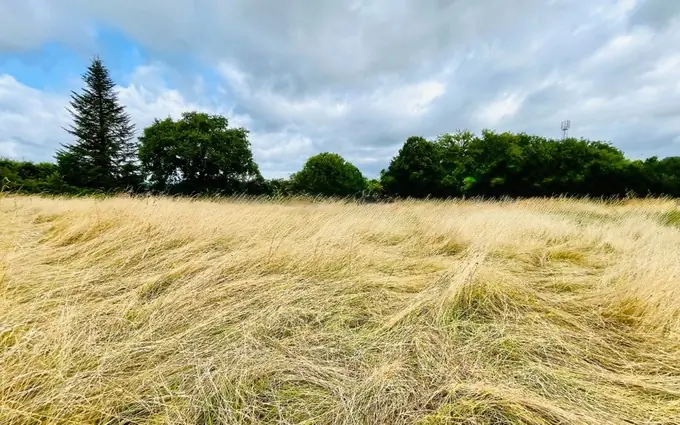 Programme immobilier neuf Terrain à partir de 1000m² à saint-pierre-de-chignac à Saint-Pierre-de-Chignac (24330)