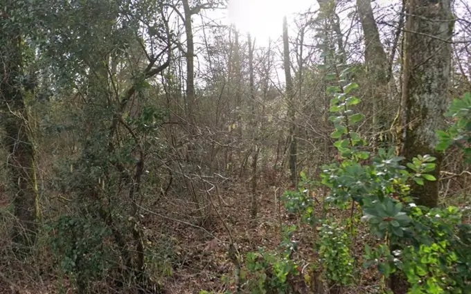 Programme immobilier neuf Terrain à partir de 420m² à la brède à La Brède (33650)