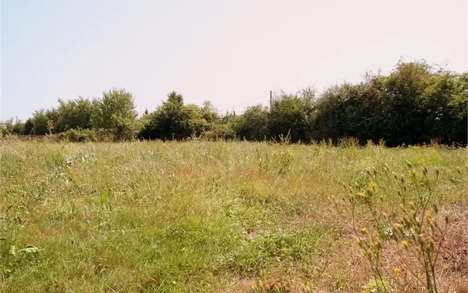 Programme immobilier neuf Terrain à partir de 490m² à brach à Brach (33480)