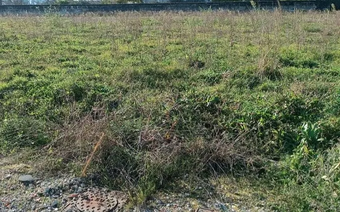 Programme immobilier neuf Terrain à partir de 1050m² à gauriaguet à Gauriaguet (33240)