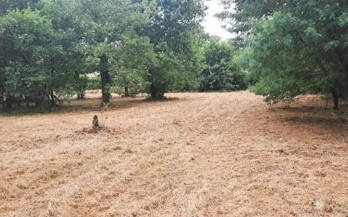 Programme immobilier neuf Terrain à partir de 300m² à salles à Salles (33770)