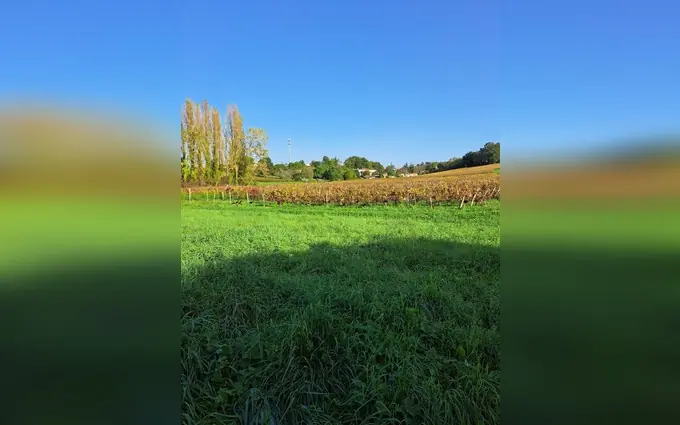 Programme immobilier neuf Terrain à partir de 412m² à lugon-et-l'île-du-carnay à Lugon-et-l'Île-du-Carnay (33240)