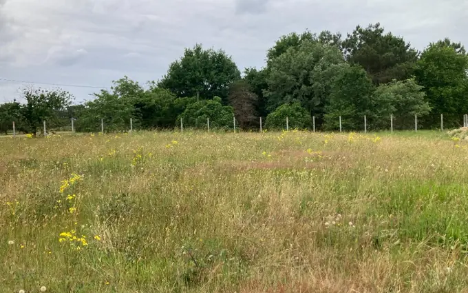 Programme immobilier neuf Terrain à partir de 900m² à les peintures à Peintures (33230)