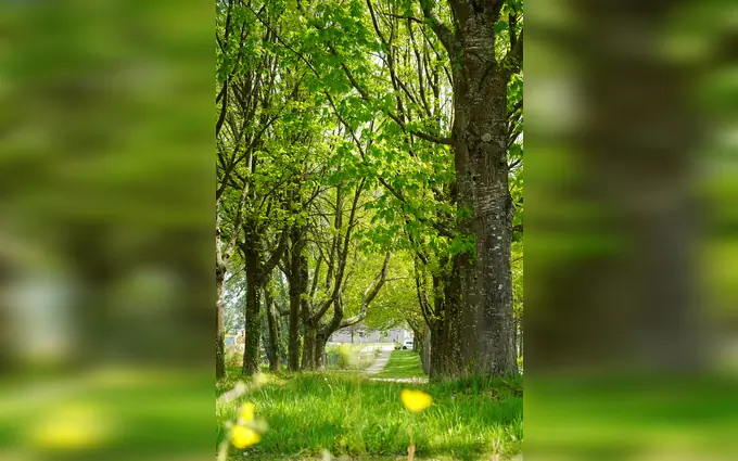 Programme immobilier neuf L'orée de la massaye à Guichen