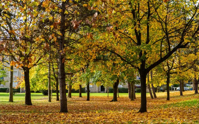 Programme immobilier neuf Domaine de la croix de l'ermite - appartements à Dugny