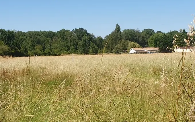 Programme immobilier neuf Terrain à partir de 600m² à saint-christoly-de-blaye à Saint-Christoly-de-Blaye (33920)