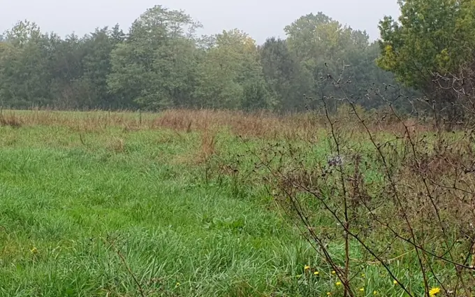 Programme immobilier neuf Terrain à partir de 730m² à tizac-de-lapouyade à Tizac-de-Lapouyade