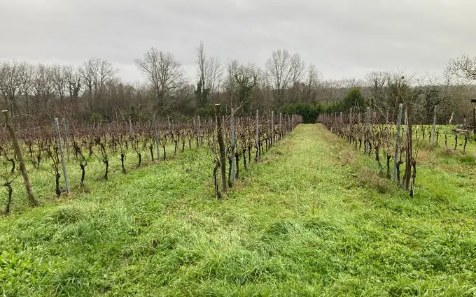 Programme immobilier neuf Terrain à partir de 1000m² à pineuilh à Pineuilh (33220)