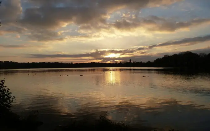 Programme immobilier neuf Le Domaine du Lac à Bain-de-Bretagne