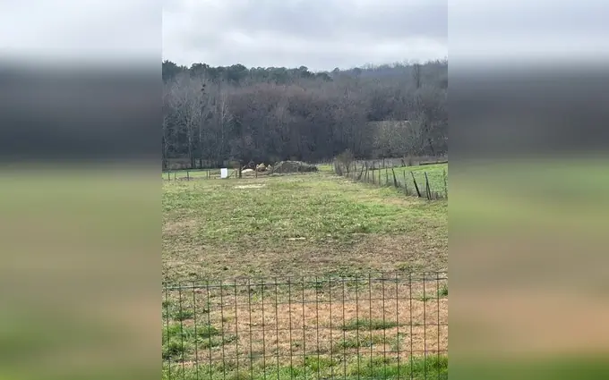 Programme immobilier neuf Terrain à partir de 800m² à paillet à Paillet (33550)