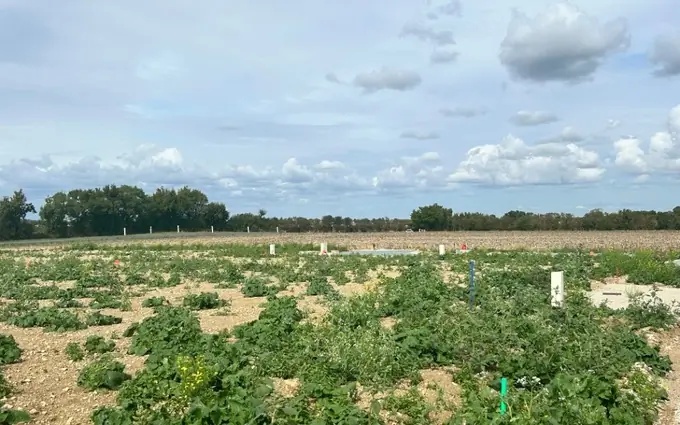 Programme immobilier neuf Terrain à partir de 378m² à saint-jean-de-liversay à Saint-Jean-de-Liversay (17170)