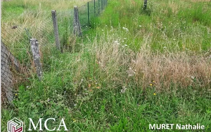 Programme immobilier neuf Terrain à partir de 465m² à la brède à La Brède