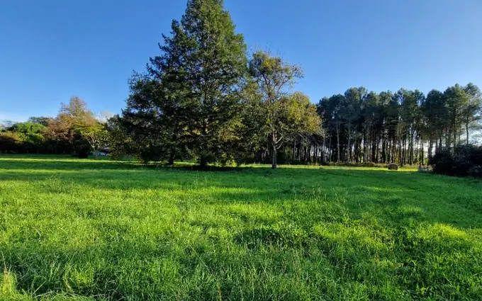 Programme immobilier neuf Terrain à partir de 1602m² à uzeste à Uzeste