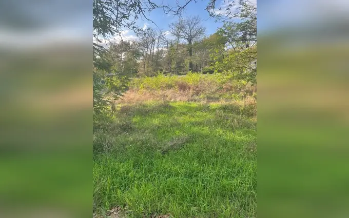 Programme immobilier neuf Terrain à partir de 880m² à vertheuil à Vertheuil (33180)