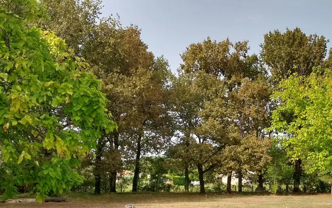 Programme immobilier neuf Terrain à partir de 300m² à portets à Portets (33640)